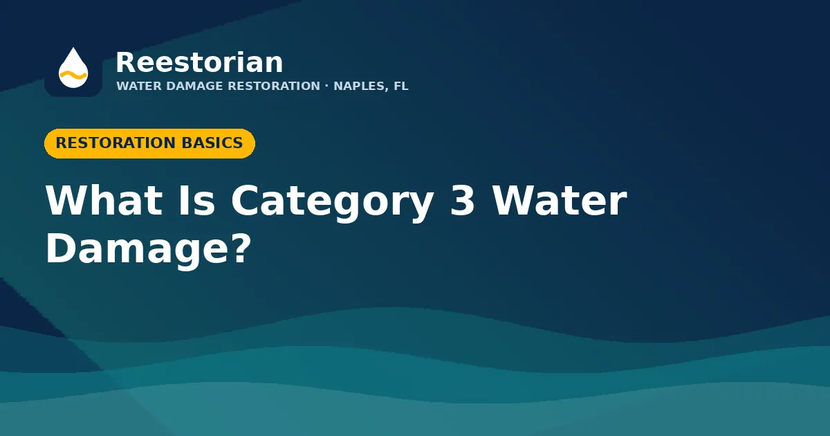 Category 3 water damage black water explained graphic