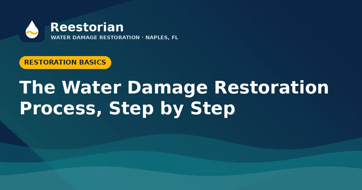 Water damage restoration process step by step guide graphic